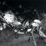 Pflanzliches und Insekten